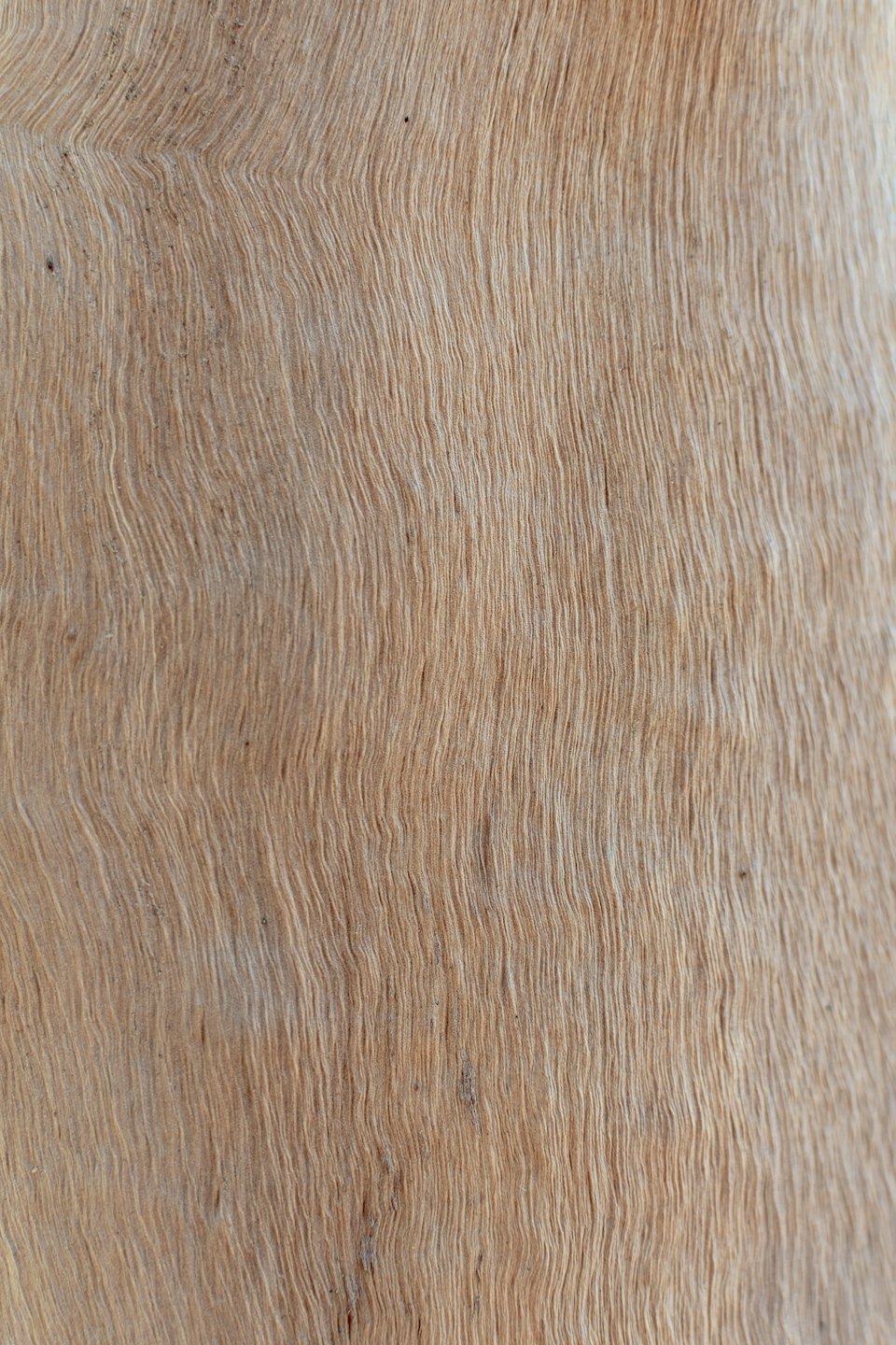 Natürliche Holzmaserung mit welliger Textur und feinen Linien.